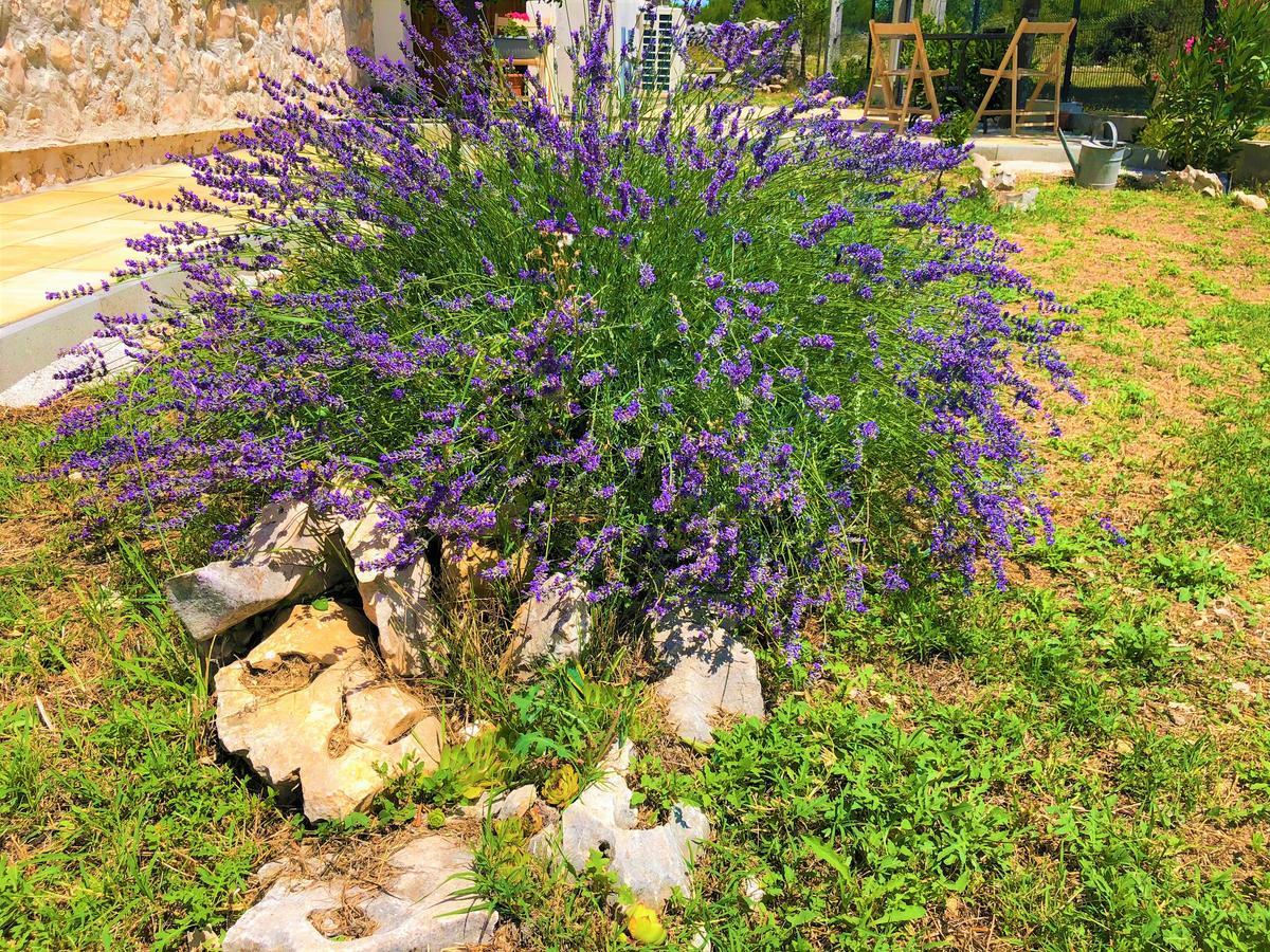 Village Appartamento Lozovac